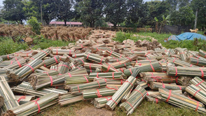 [ALTA CALIDAD] |   Varas de bambú amarillo seco, cortadas a la mitad, para estructuras de cometas de Pakistán y estructuras pesadas de Vietnam - Product Image 6