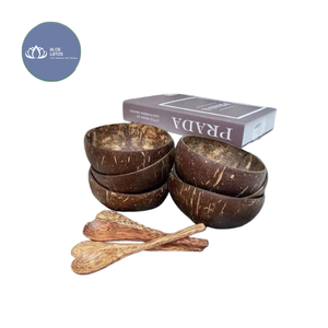 [MEILLEURES VENTES] |   Bol en Coque de Noix de Coco Écologique Finition Lisse Vente en Gros Artisanat Vaisselle de Cuisine et de Table Vietnam - Product Image 1