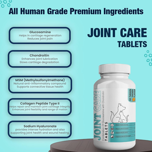 OEM ODM – Nouvelles Friandises Tendres pour Chiens et Chats, Soutien Articulaire avec Glucosamine pour la Santé des Hanches et des Articulations, Amélioration de la Mobilité et Soulagement de la Raideur - Product Image 6