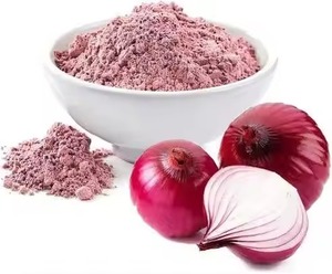 Poudre d'oignon rouge séché 100% pure et naturelle de qualité supérieure en gros pour assaisonnement, fabricant indien, prix de gros, export, marque Desi - Product Image 2