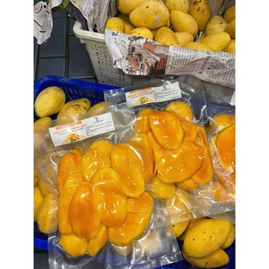 Cubos de Mango Liofilizados Premium 100% Frescos envasados al Vacío Proveedor Mayorista Vietnam - Product Image 6