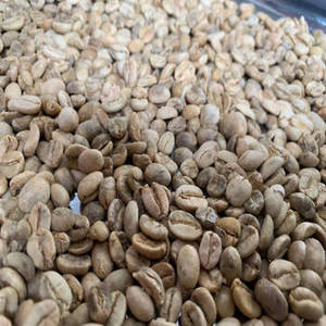 เมล็ดกาแฟอาราบิก้าอินเดียคั่วใหม่ ฤดูกาลใหม่ 100% บริสุทธิ์ เกรดเอ คั่วสดใหม่ กลิ่นหอมเข้มข้น รสชาติกลมกล่อม บรรจุ 1 กก. - Product Image 1