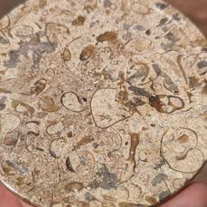 Juego de 6 posavasos de mármol fósil, hechos a mano, decoración de mesa de mármol natural - Product Image 4