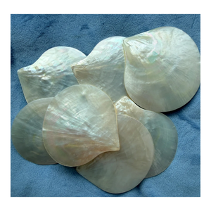 Plateau en nacre naturelle fait main, coquille de mer décorative, plateau de luxe pour la maison, cadeau de vaisselle de table - Product Image 2