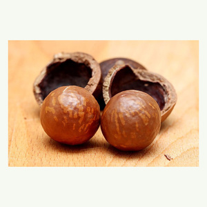 แมคคาเดเมียออร์แกนิกคุณภาพเยี่ยม บรรจุภัณฑ์แบบขายส่ง - Product Image 2