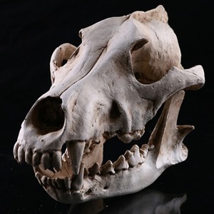 Tradebyd, figura esculpida de animales de resina única, escultura decorativa artística Premium para el hogar, oficina y regalos - Product Image 1