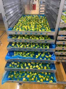 KIM MINH Cubos de Aguacate Congelados IQF, Calidad Premium, Origen Vietnam, Estilo Bloque, Fruta Congelada, Caja de 10 kg - Product Image 6