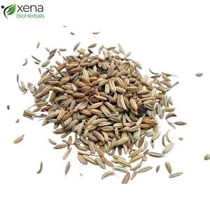 Fabricant OEM d'extrait de graines de fenouil, ingrédient végétal de qualité supérieure pour les produits de soins personnels - Product Image 1