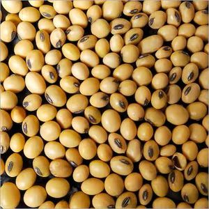 Granos de Soja Secos Amarillos Sin OMG, Semillas de Soja Enteras a Granel de Grado Alimenticio para Alimentación Animal - Product Image 1