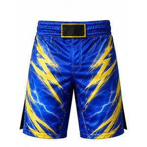 MMA Shorts Flexible Training Shorts Lightweight Material For Kickboxing Sparring And Martial Arts Practice - Product Image 1