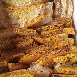 Wholesale Pure Honeycomb & Honey Bottles | Bulk Natural Honey Supply | Export Quality from Vietnam - Ms.Tarina - Product Image 1