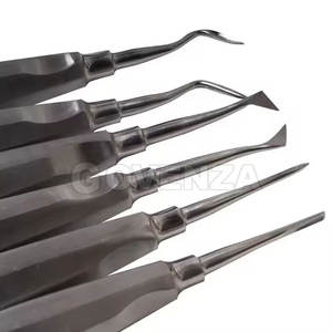 Juego Profesional de Elevadores Dentales Manuales de 13 Piezas, Herramientas de Acero Inoxidable con Agarre Ergonómico para Procedimientos de Extracción Dental - Product Image 6