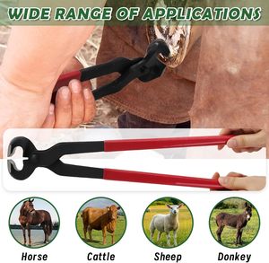 Cortauñas Profesional de 15 Pulgadas con Mango de Goma, Herramienta para el Cuidado de Pezuñas Equinas, para la Salud de Caballos, Ovejas y Cabras - Product Image 6
