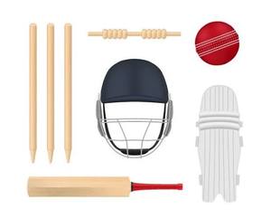 Ensemble d'équipement de protection personnalisable pour le cricket pour hommes et garçons, avec gants de frappe, protège-tibias, casque, protège-cuisses et protège-bras - Product Image 1