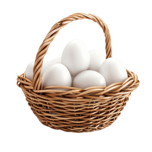 Huevos de Gallina Blancos Frescos de Granja, Estilo Orgánico, Altos en Proteínas, para Uso Diario, Cuidadosamente Seleccionados, Venta al por Mayor y al por Menor, Centro de Comercio - Product Image 1