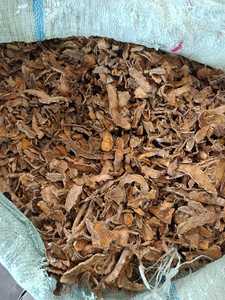 Rizoma de Cúrcuma Seco en Rodajas, Ingrediente Herbal, Laboratorios UD Star, 1 Año de Vida Útil para Procesamiento de Alimentos y Suministro de Especias - Product Image 2
