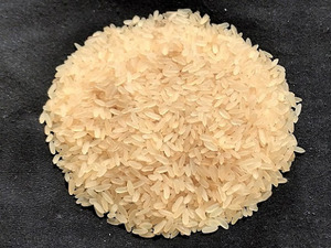 Arroz Sona Masoori Orgánico Aromático Fresco Sin OMG, Textura Suave, Arroz Aromático de Grano Mediano Sona Mansoori - Product Image 2