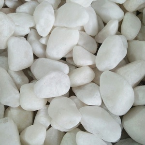 NATURAL DECORATIVE PEBBLE <b>STONE</b> FOR EPOXY FLOORING - LONG LASTING BEAUTY & SUPERIOR QUALITY - Product Image 2