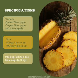 Piña Fresca de Vietnam _ Suministro a Granel Estable para Mercados B2B - Product Image 3