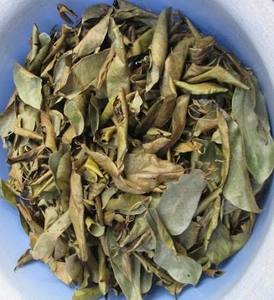 Raw Camellia Sinensis Leaves <b>Tea</b> Dry Storage Organic Non Sugar Health <b>Tea</b> 50g Bulk Packaging - Product Image 1