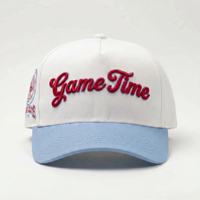 Gorra de Béisbol Deportiva Personalizada con Bordado 3D en Relieve, Visera Curva de Perfil Alto, Ajustable, Estructurada, de 5 Paneles, con Logotipo OEM ODM