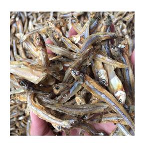 Anchoas Secas Auténticas, Pescado de Mar Naturalmente Salado, Suministro a Granel para Distribución en el Mercado Internacional, Asociación Global - Product Image 1