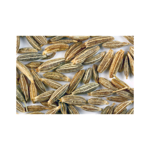 Oferta Caliente: Comino Egipcio de Alta Calidad y Bajo Precio para Exportación desde Brasil - Proveedor Mayorista Premium de Especias y Hierbas Individuales - Product Image 3