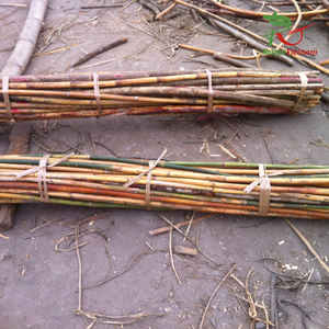 Poteaux en rotin écologiques 12-30mm Matière première artisanale pour meubles de jardin Prix bon marché Rotin naturel OEM fabriqué au Vietnam - Product Image 6