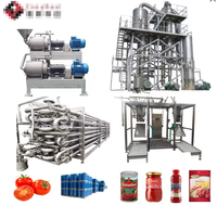 Coût-Efficace Tomate Pâte Machine Système Tomate Pâte Faisant La Machine Ketchup Usine de Traitement de Ligne de Production