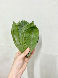 Ingrédient authentique de boisson à base de plantes, feuilles de corossol séchées au soleil du Vietnam - Product Image 2