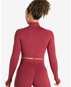 Ensembles de yoga en nylon et élasthanne de poids moyen, couleur unie, short taille haute, haut court à manches longues, fermeture éclair quart, anti-transpiration, sans couture, faible MOQ - Product Image 4