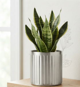 Macetas Decorativas de Jardín con Acabado Plateado de Último Diseño, Maceteros Metálicos de Diseño Moderno, Fabricante y Proveedor de Maceteros de Hierro - Product Image 1