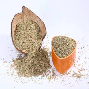 Semillas de Ajwain Secas Naturales de Gujarat de Primera Calidad, Granuladas, Seleccionadas, en Empaque a Granel de Grado Alimenticio, para el Mercado Alemán, FitTree International - Product Image 5