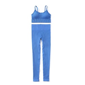 Ensemble sans couture bleu à haute élasticité, vêtements de sport unisexes pour la salle de sport et le fitness | Fournisseur de vêtements de sport multicolores - Product Image 6