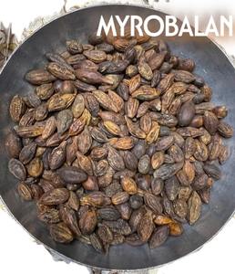 Tanninos Vegetales Naturales Myrobalan (Terminalia Chebula Amarilla), Fruta Seca Entera, Secada al Sol, Región Montañosa, Maharashtra Occidental, India - Product Image 2