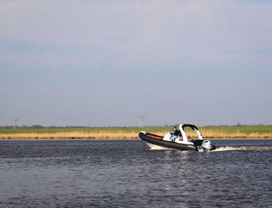 Z-o-<b>d</b>-i-a-c M-<b>e</b>-<b>d</b>-<b>l</b>-i-n-<b>e</b> 7.5 - Product Image 2