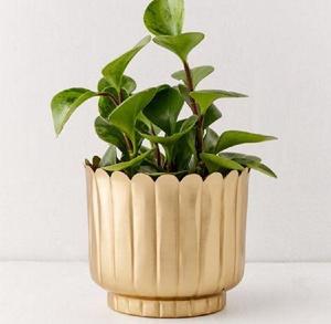 Maceta Moderna Acanalada de Metal Dorado – Maceta Decorativa para Interiores |   Elegante Soporte para Plantas de Mesa para Decoración del Hogar y la Oficina - Product Image 1
