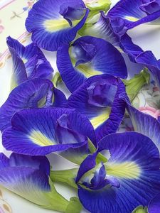 Standard Bulk Dried Butterfly Pea Flowers Natural Blue Petals Herbal Organic <b>Slimming</b> <b>Tea</b> Beverage Processing Wholesale Vietnam - Product Image 3