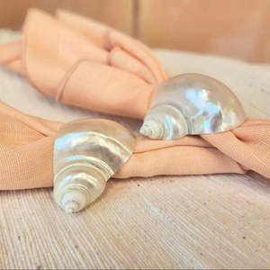 Anillo para servilletas artesanal de conchas de Vietnam para decoración de temática tropical y servicio de mesa en hostelería - Product Image 1