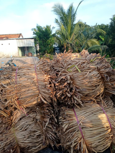 Hyacinthe d'eau séchée de Grade B, matériau abordable pour la production artisanale et la vente en gros 18 ANGLE - Product Image 4