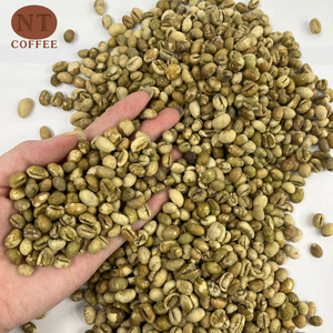 Café Vert Culi Pur Direct Usine Origine Vietnam Saveur Forte OEM Marque Privée Export en Vrac - Product Image 1