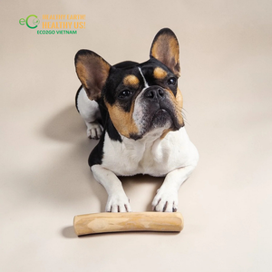 Jouet à mâcher pour chien en bois de café, bâton naturel pour stimuler l'instinct de mastication et garder les chiens occupés ECO2GO VIETNAM - Product Image 1