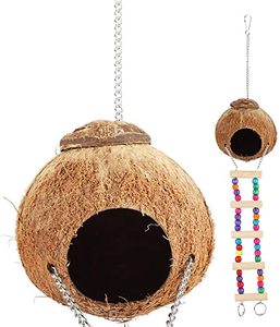 Casa para Pájaros de Coco Natural – Sostenible y Decorativa para Uso en Exteriores // Mr.Tom - Product Image 4