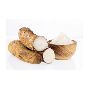 Almidón de yuca premium para compradores mayoristas, distribuidores, minoristas y mercados internacionales - Product Image 6