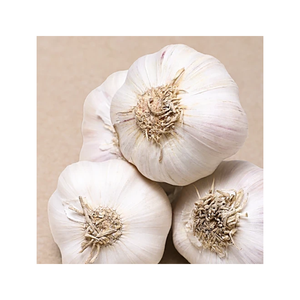 Bulbos de Ajo Frescos de Calidad Superior, Ajo Blanco para Cocinar, Preparación de Alimentos, Procesamiento Industrial y Suministro para Exportación Global - Product Image 3