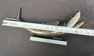 Pieza decorativa de cuerno natural diseñada para exhibición en la sala de estar y el interior del hogar, diseño de pez en cuerno natural de búfalo. - Product Image 2