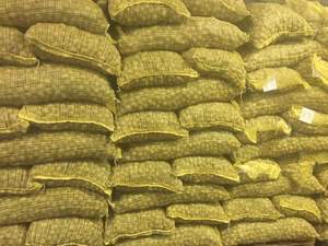 Noix blanchies bio sans coquille, grade A, prix usine, vente en gros, approvisionnement en vrac, collation saine, récolte 2026 - Product Image 2