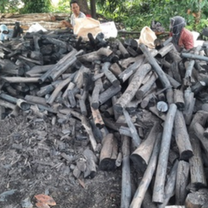 Kachi mangrove charbon de l'Indonésie - Product Image 2