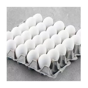 Œufs à couver de poulet de chair de qualité supérieure, couleur blanche, 100 % purs, à prix raisonnable - Product Image 1