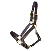 Harnais de polo en cuir d'Argentine, robuste et réglable, en cuir et nylon, durable et adapté à toutes les saisons, équipement équestre, designs personnalisés